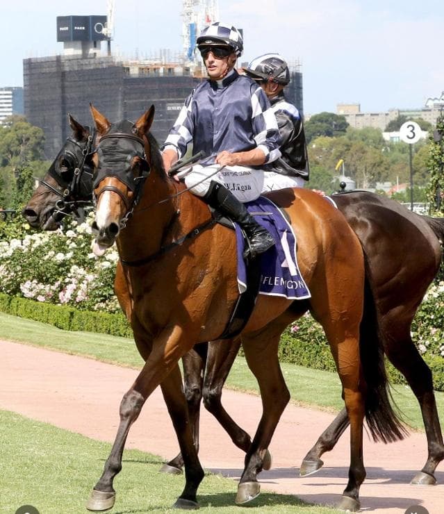 A Historic First for Luke Berger Racing with Group 3 Victory in the Standish Handicap