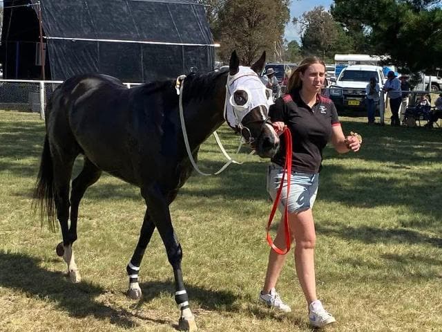 Deepwater Cup glory for Shamedy