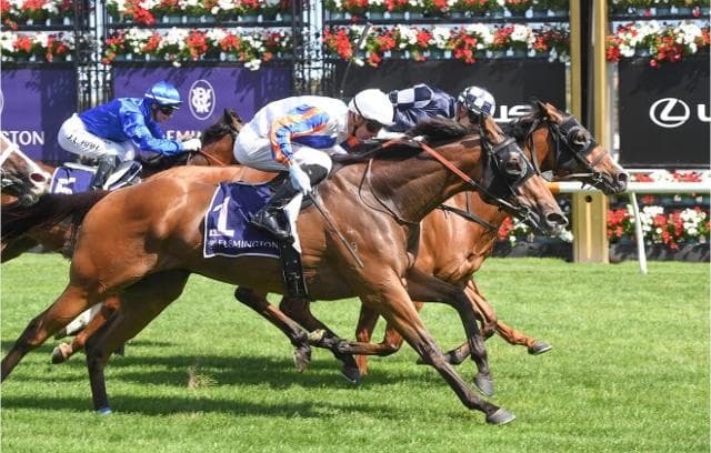 A Historic First for Luke Berger Racing with Group 3 Victory in the Standish Handicap