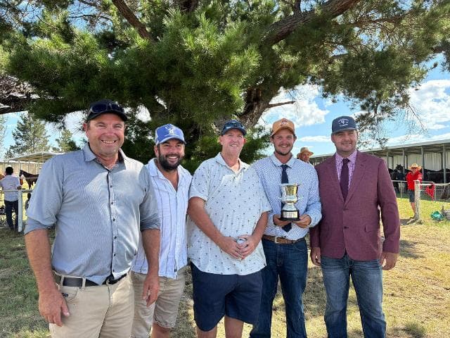 Deepwater Cup glory for Shamedy