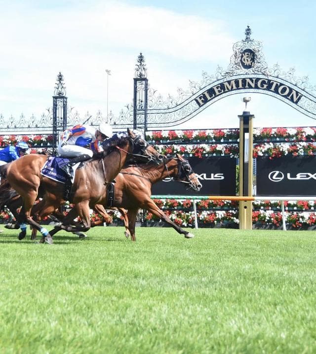 A Historic First for Luke Berger Racing with Group 3 Victory in the Standish Handicap